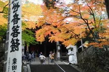 【紅葉・見ごろ】谷汲山華厳寺 2026