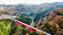 奥出雲おろちループの紅葉 2026