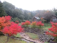 かみくの桃源郷の紅葉 2026