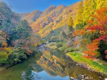【紅葉・見ごろ】宇甘渓 2026