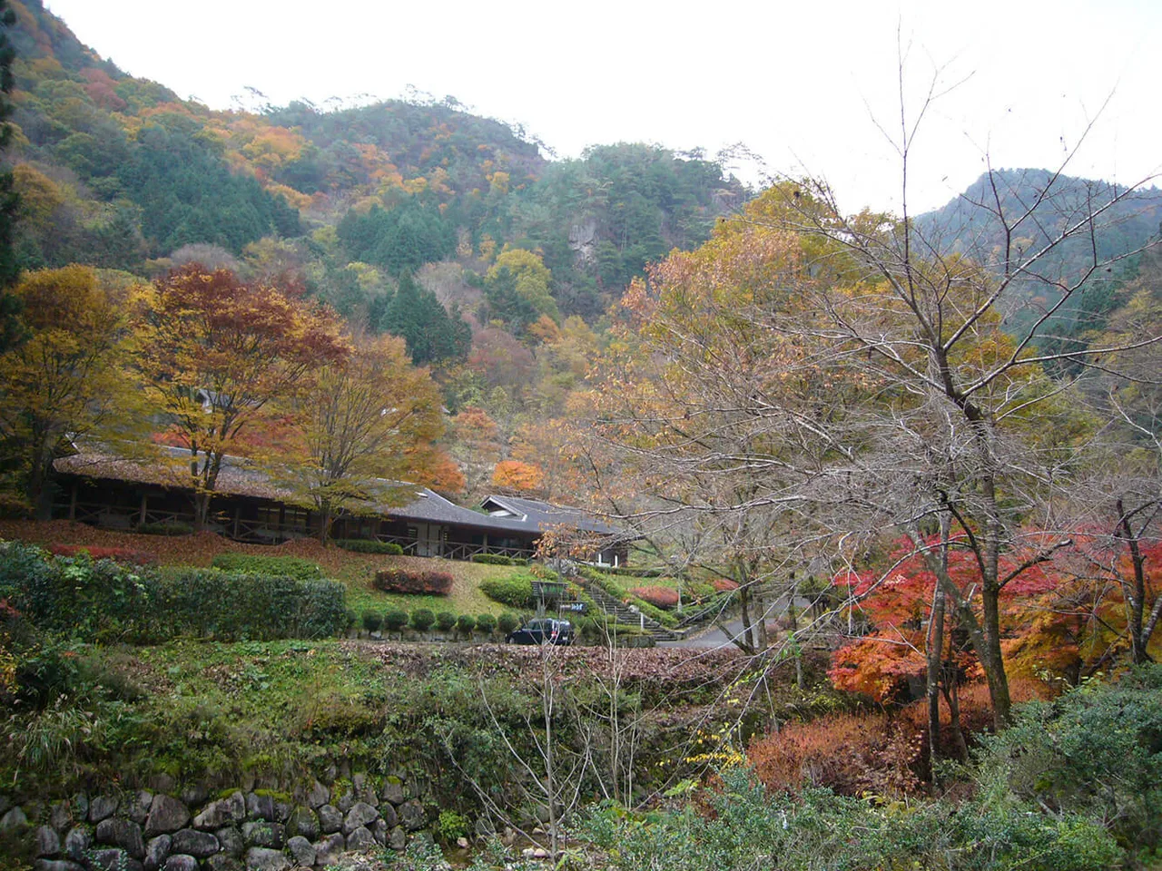 龍頭峡の紅葉 2026