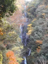 常清滝の紅葉 2026