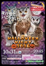 ハロウィンナイト2026
