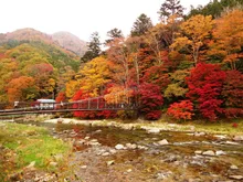 塩原の紅葉 2026