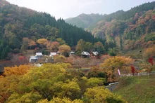 陽目渓谷の紅葉 2026