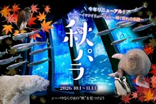 秋パラ！ 2026