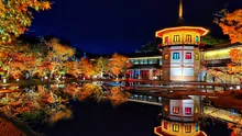 宮城県 松島離宮の紅葉 2026