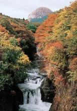鳳鳴四十八滝の紅葉 2026