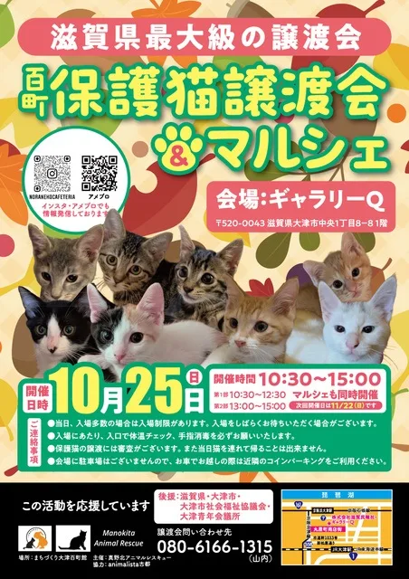 百町保護猫譲渡会&マルシェ 2026
