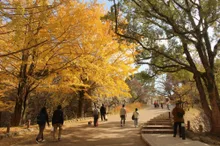 舞鶴公園の紅葉 2026