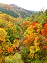 三途川渓谷の紅葉 2026