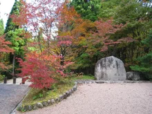 岡山県立森林公園の紅葉 2026