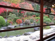奥殿陣屋の紅葉 2026