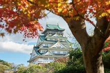 大阪城公園の紅葉 2026