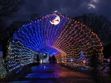 花と光のクリスマス 2026