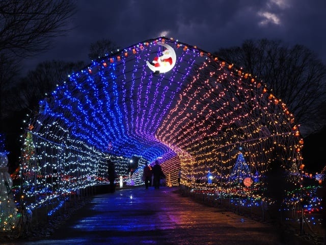 花と光のクリスマス 2026