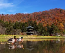 まほろば古の里 歴史公園の紅葉 2026