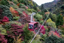 六甲有馬ロープウェーの紅葉 2026