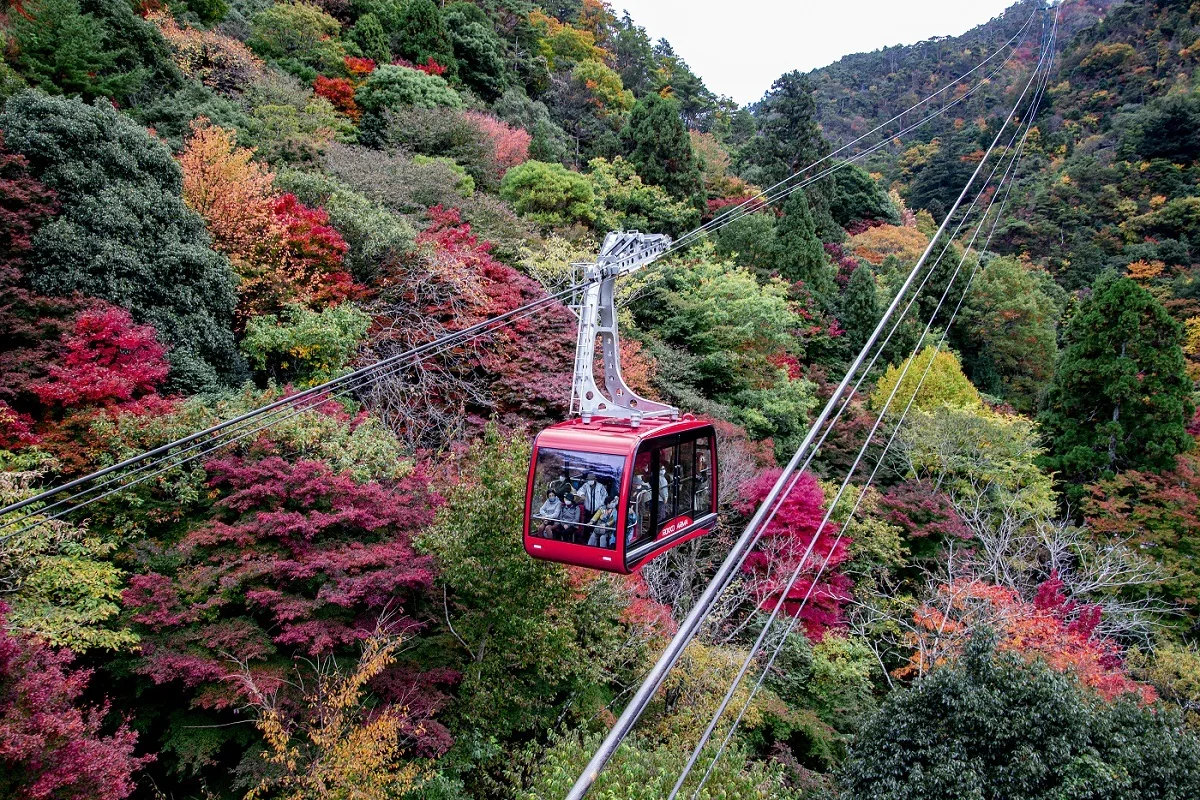 六甲有馬ロープウェーの紅葉 2026