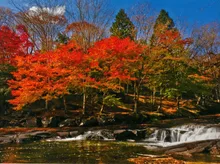 遊水峡の紅葉 2026