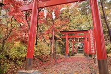 【紅葉・見ごろ】花巻温泉 2026