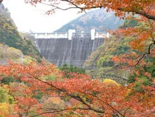 浦山ダム周辺の紅葉 2026