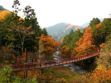 秋川渓谷の紅葉 2026