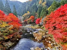 奥津渓の紅葉 2026