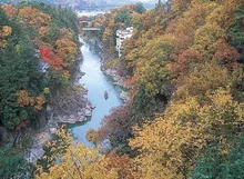 名勝 天龍峡の紅葉 2026
