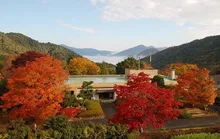 広島県緑化センター もみじ祭り2026