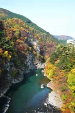 鬼怒楯岩大吊橋の紅葉 2026