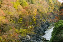 高津戸峡の紅葉 2026