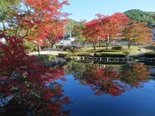 曽木公園の紅葉 2026