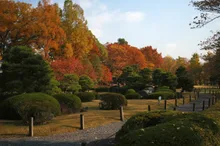 元離宮二条城の紅葉 2026