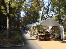 秋の植木市（靱公園） 2026