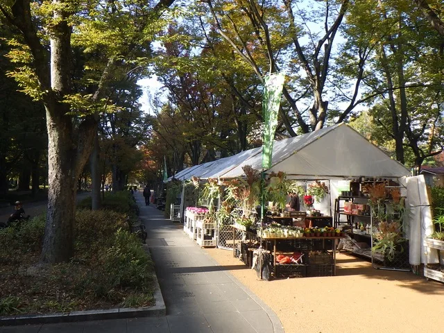 秋の植木市(靱公園) 2026