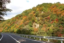 松ヶ谷渓谷の紅葉 2026