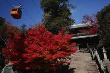 箸蔵寺の紅葉 2026