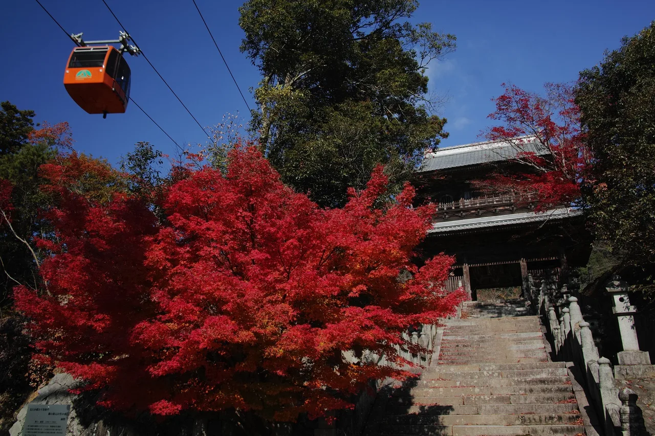 箸蔵寺の紅葉 2026