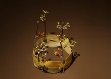 岩谷雪子作品展「草木と出会う」 2026
