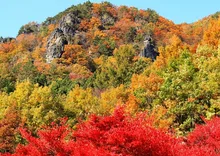 霊山県立自然公園の紅葉 2026