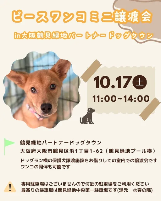ミニ譲渡会in大阪鶴見緑地 2026