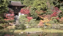 円成寺の紅葉 2026