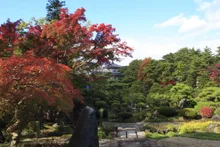 輪王寺の紅葉 2026