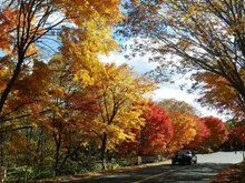 日塩もみじラインの紅葉 2026