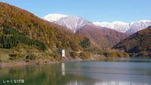 【紅葉・見ごろ】しゃくなげ湖 2026