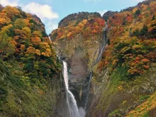 【紅葉・見ごろ】称名滝 2026