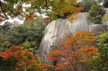 【紅葉・見ごろ】鬼岩公園 2026