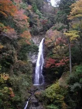 【紅葉・見ごろ】原不動滝 2026