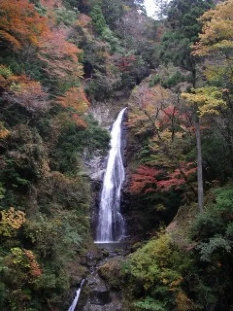 【紅葉・見ごろ】原不動滝 2026